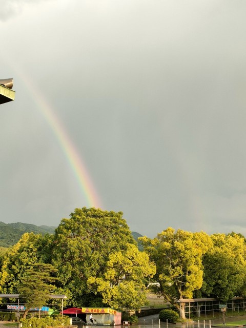 f:id:kosetu-tenkei:20230709115108j:image f:id:kosetu-tenkei:20230709115108j:image