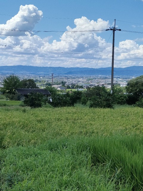 f:id:kosetu-tenkei:20230912155705j:image f:id:kosetu-tenkei:20230912155705j:image