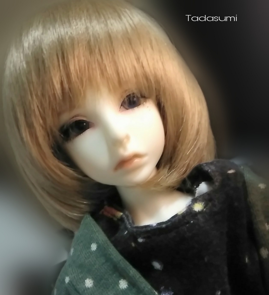f:id:kosetu:20180114000628j:plain f:id:kosetu:20180114000628j:plain