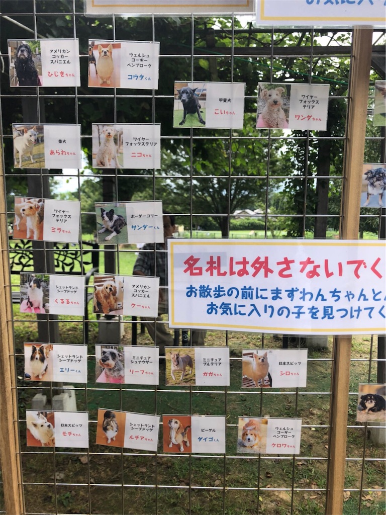 f:id:koshi_kakoii:20190820213731j:image