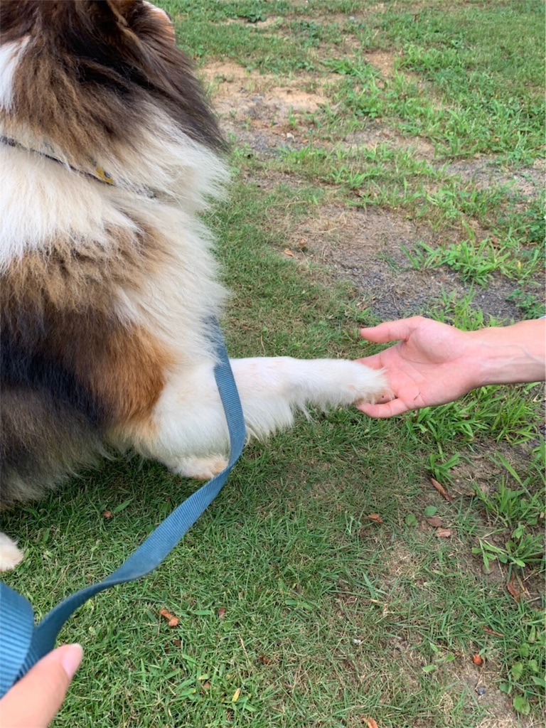 f:id:koshi_kakoii:20190820213852j:image