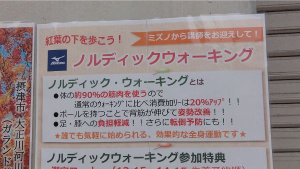 f:id:koshi_navi:20191114205618j:plain f:id:koshi_navi:20191114205618j:plain