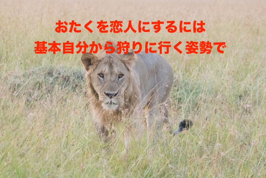 f:id:koshibu:20160804202805j:plain f:id:koshibu:20160804202805j:plain