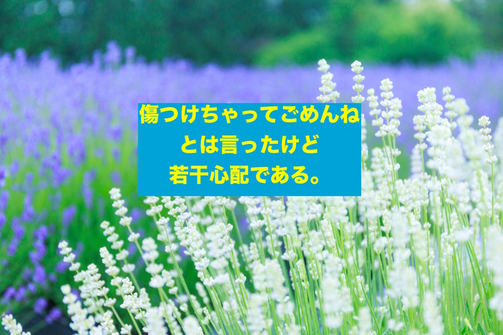 f:id:koshibu:20160825203651j:plain f:id:koshibu:20160825203651j:plain