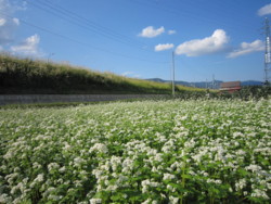 f:id:koshiji:20120922143144j:image