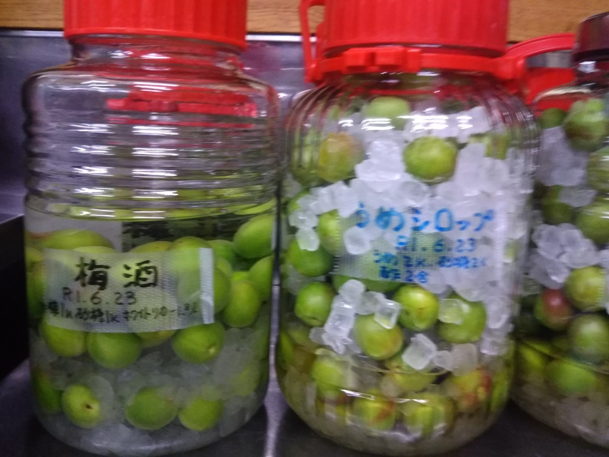 f:id:koshiji:20190623205254j:plain