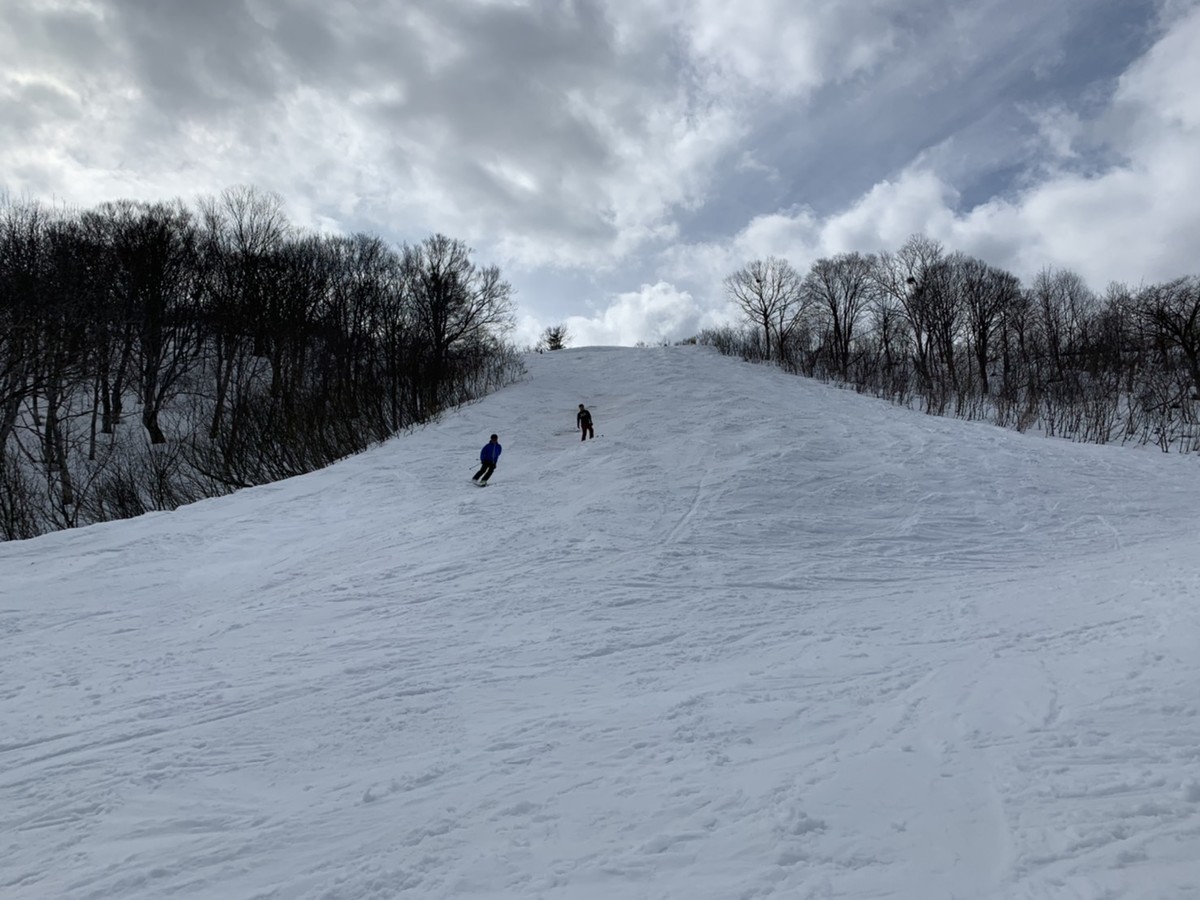 f:id:koshiji:20200302172937j:plain f:id:koshiji:20200302172937j:plain