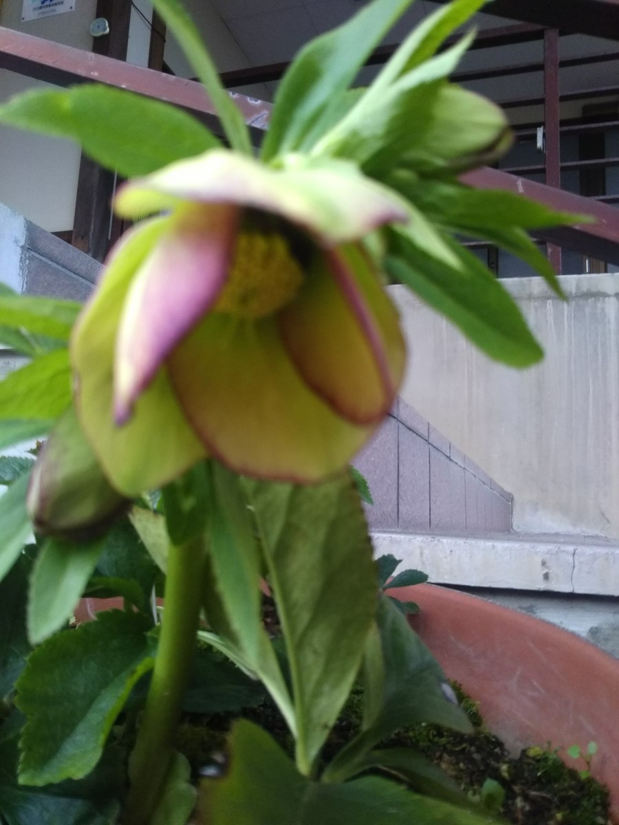 f:id:koshiji:20200310200843j:plain f:id:koshiji:20200310200843j:plain