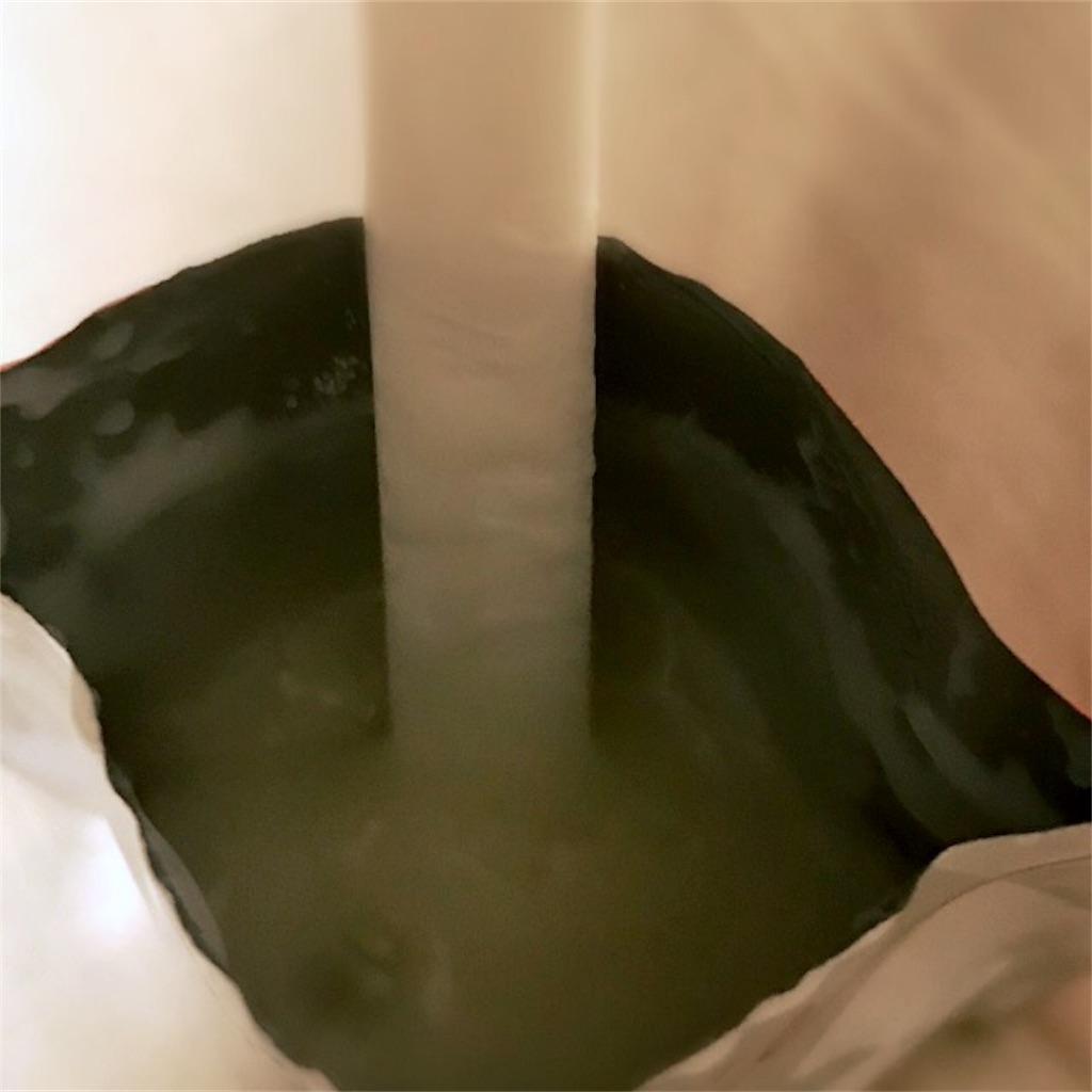 f:id:koshikakeol:20190720085902j:image