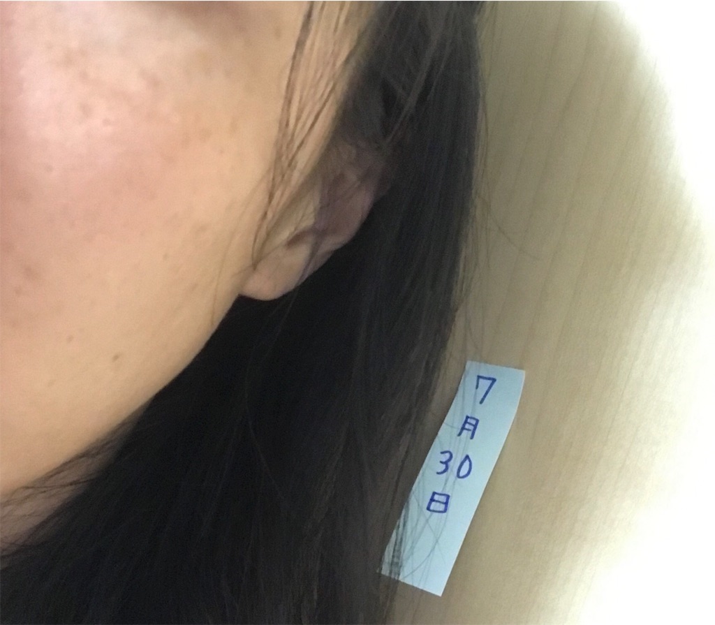 f:id:koshikakeol:20190730213844j:image f:id:koshikakeol:20190730213844j:image