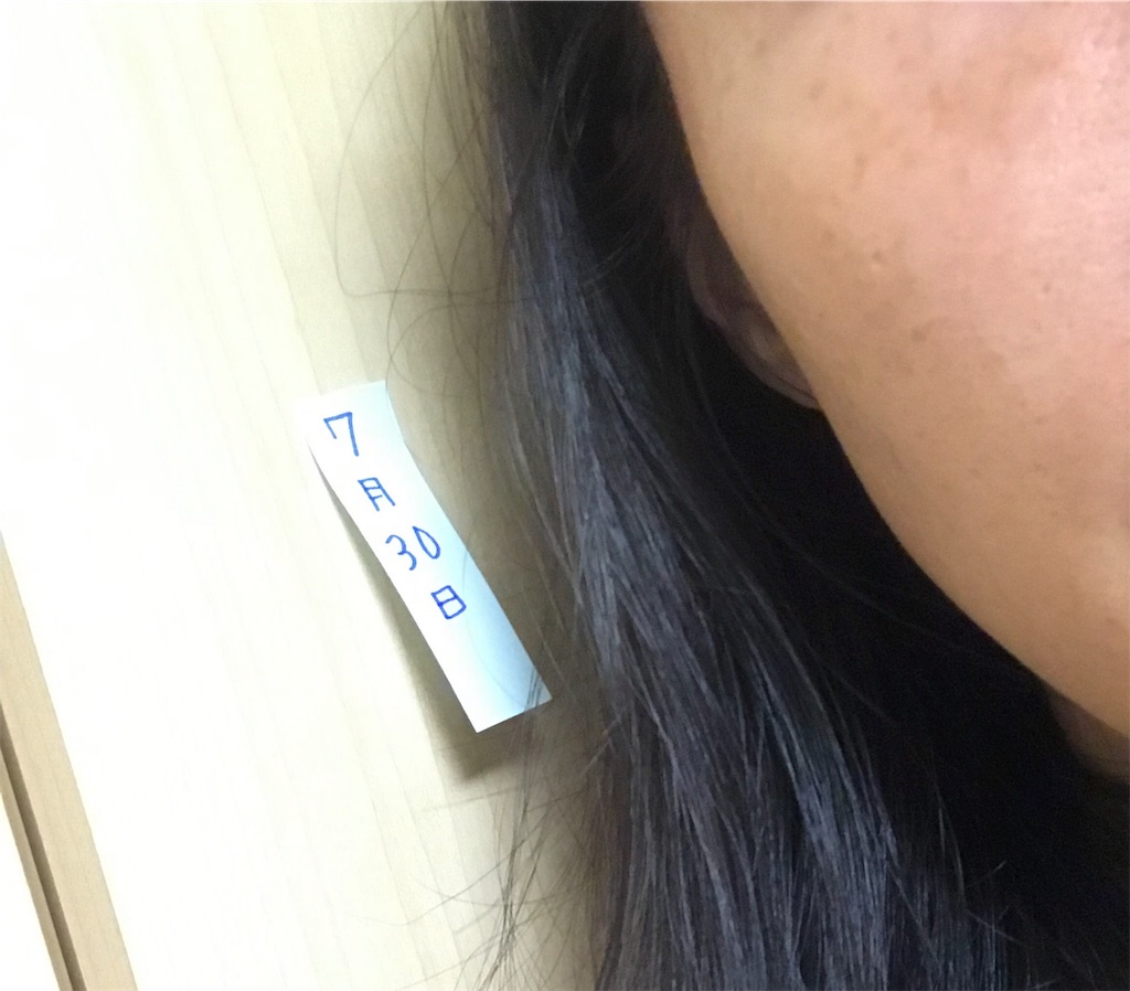 f:id:koshikakeol:20190730214033j:image f:id:koshikakeol:20190730214033j:image