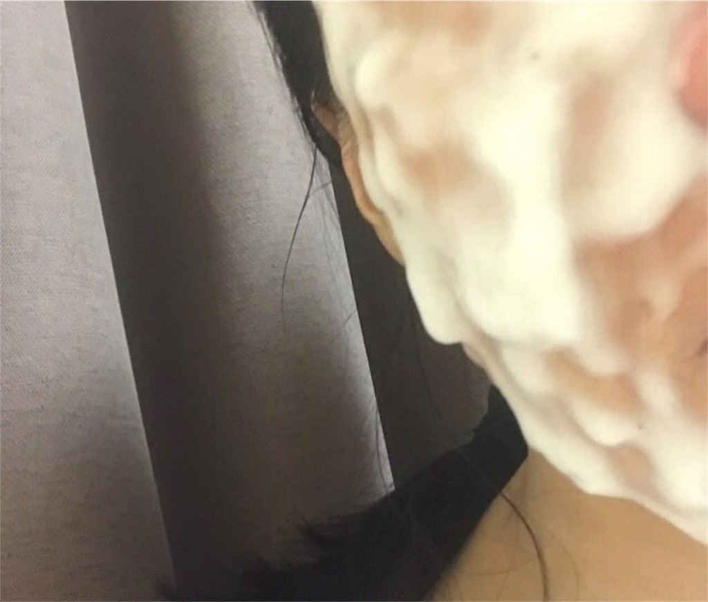f:id:koshikakeol:20190817092124j:image f:id:koshikakeol:20190817092124j:image