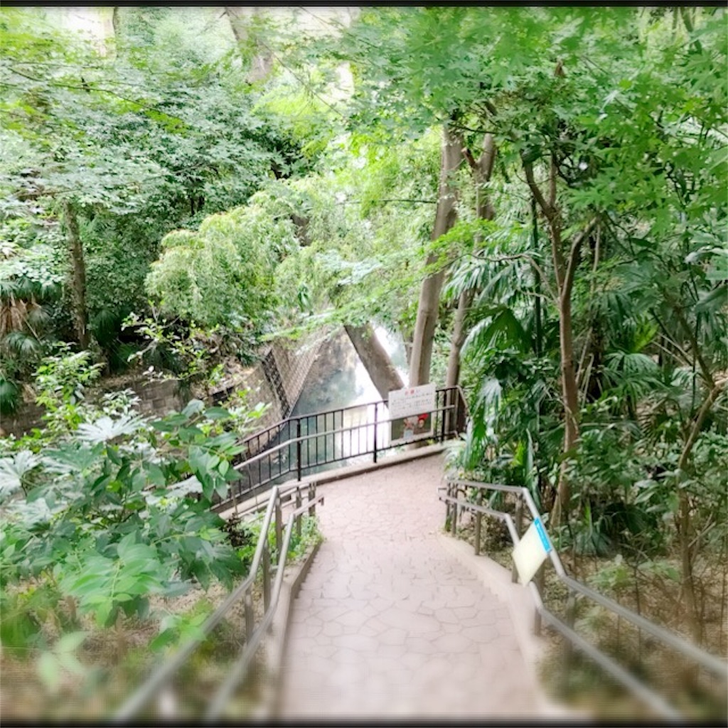 f:id:koshikakeol:20190914120044j:image f:id:koshikakeol:20190914120044j:image