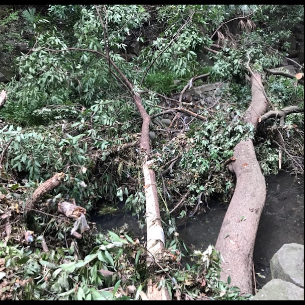 f:id:koshikakeol:20190914120404j:image f:id:koshikakeol:20190914120404j:image