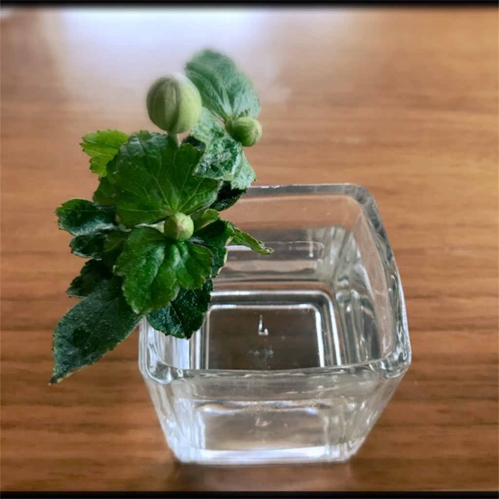 f:id:koshikakeol:20190925125250j:image f:id:koshikakeol:20190925125250j:image