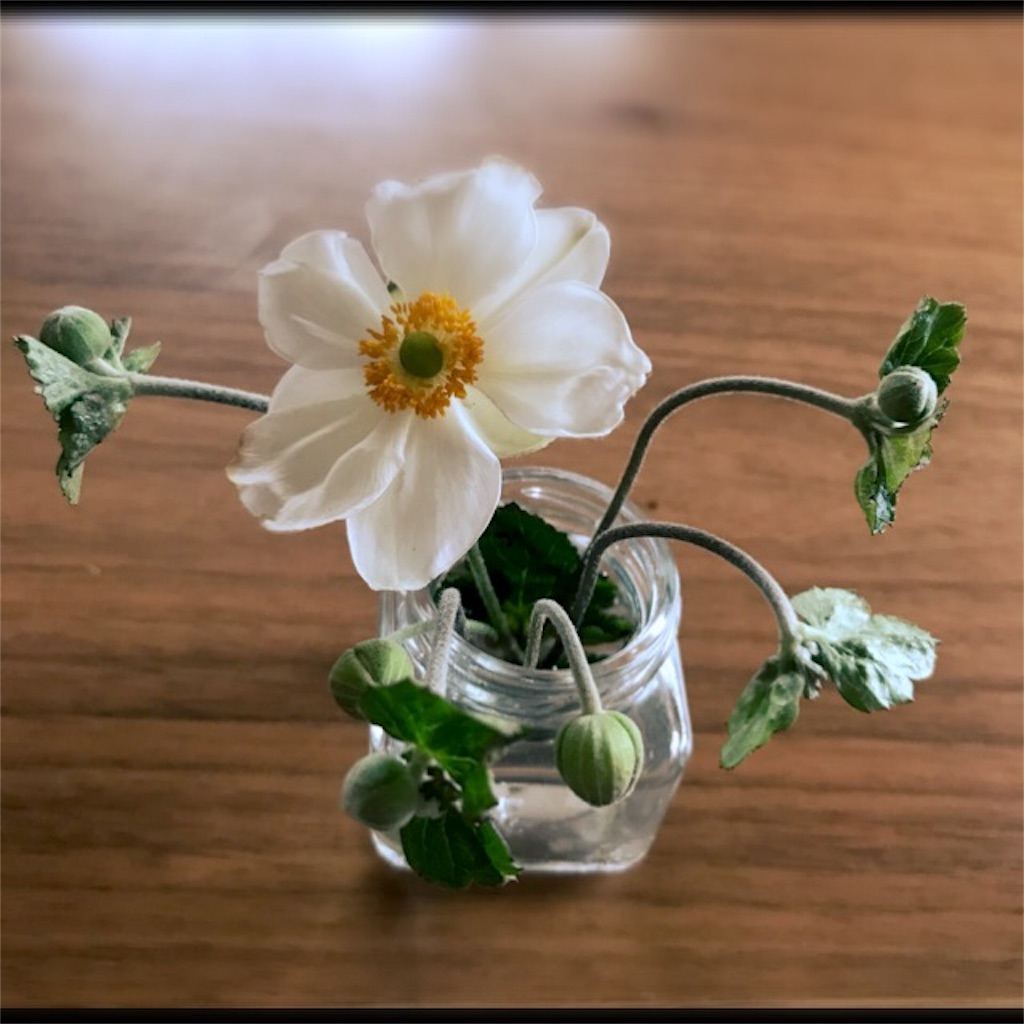 f:id:koshikakeol:20190925125253j:image f:id:koshikakeol:20190925125253j:image