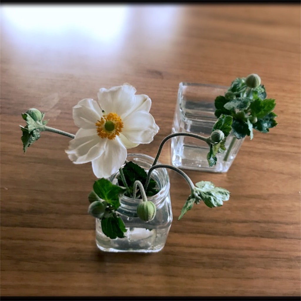 f:id:koshikakeol:20190925125315j:image f:id:koshikakeol:20190925125315j:image