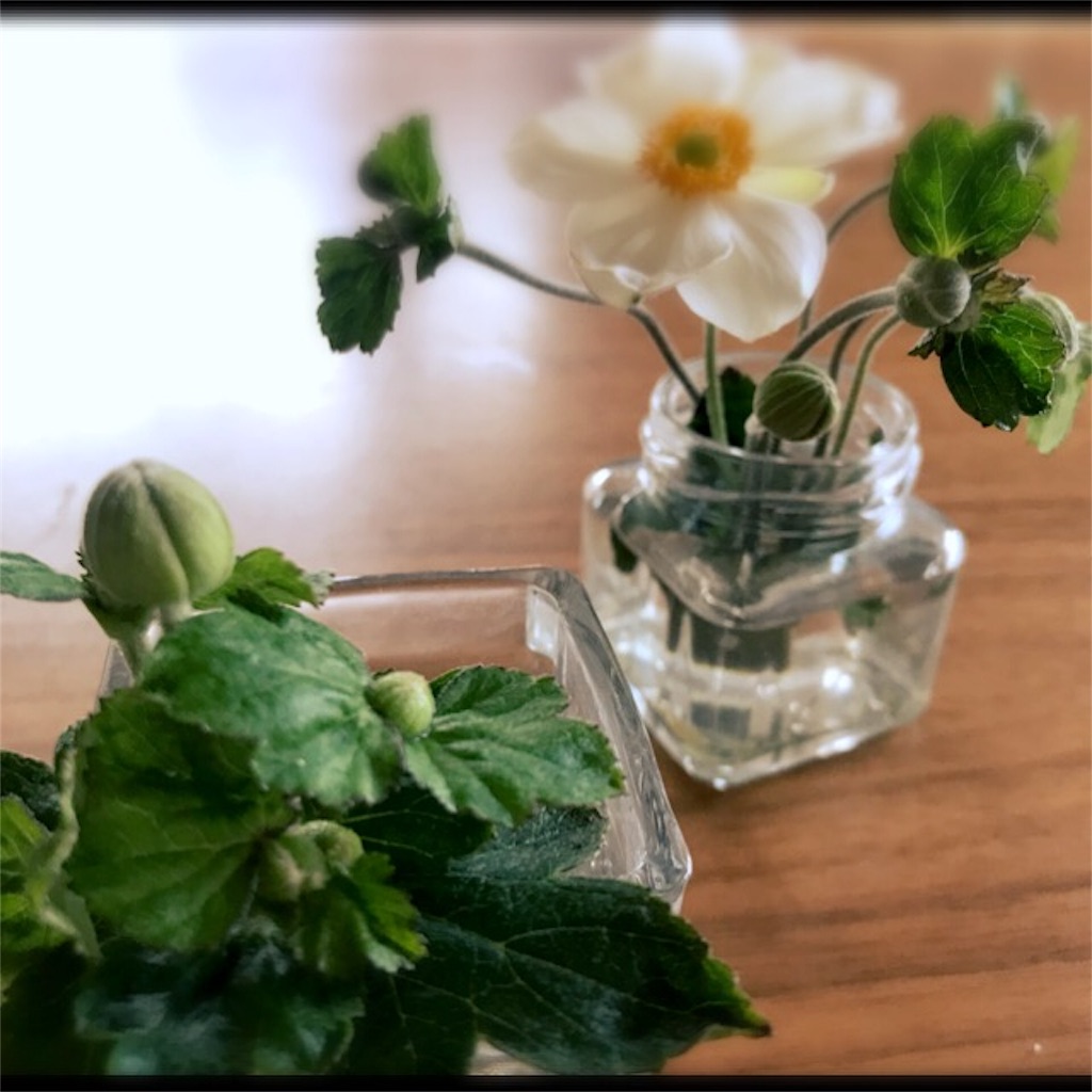f:id:koshikakeol:20190925125318j:image f:id:koshikakeol:20190925125318j:image