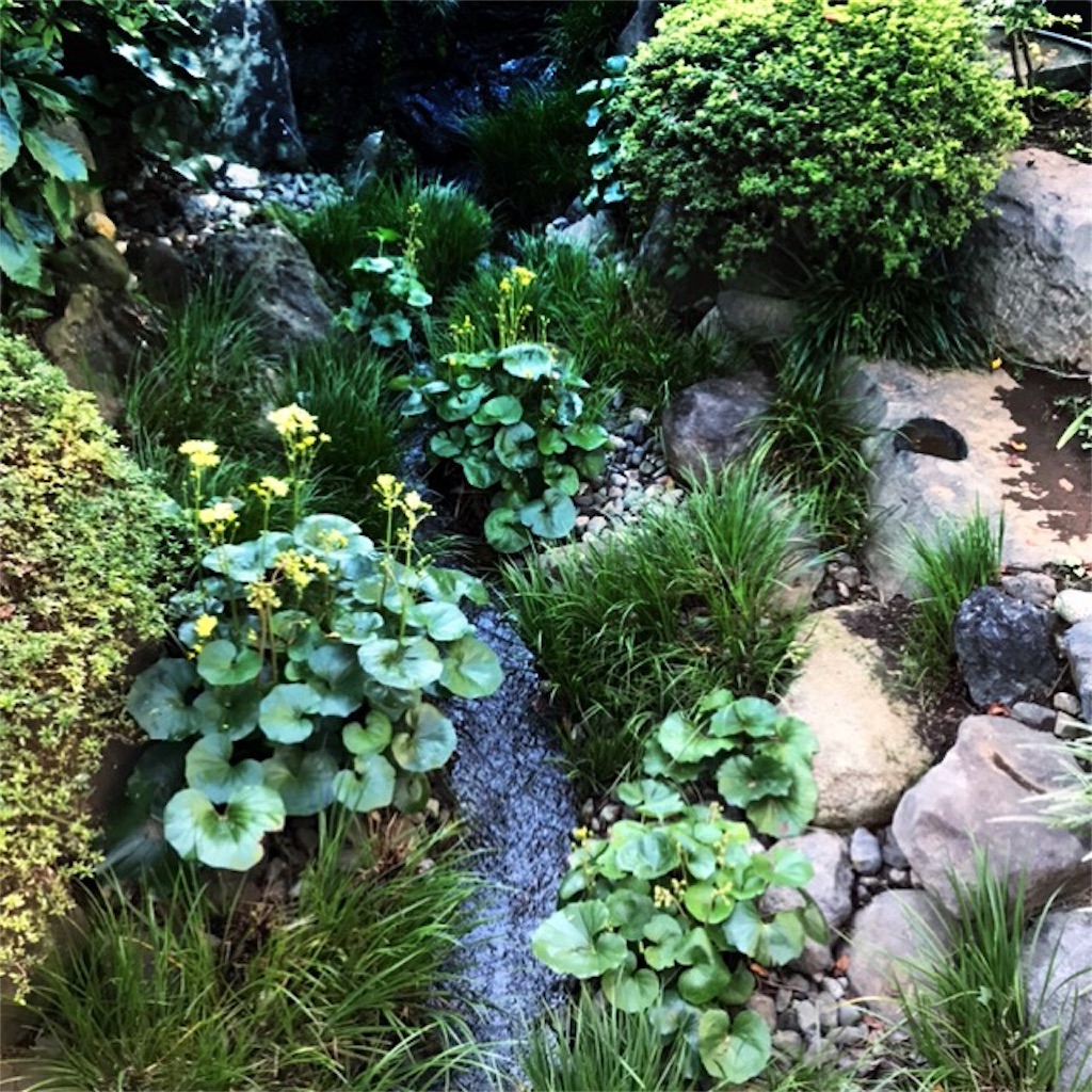 f:id:koshikakeol:20191104182610j:image