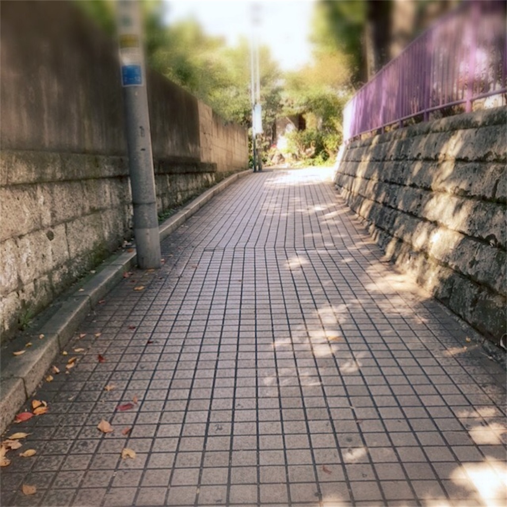 f:id:koshikakeol:20191116220924j:plain f:id:koshikakeol:20191116220924j:plain