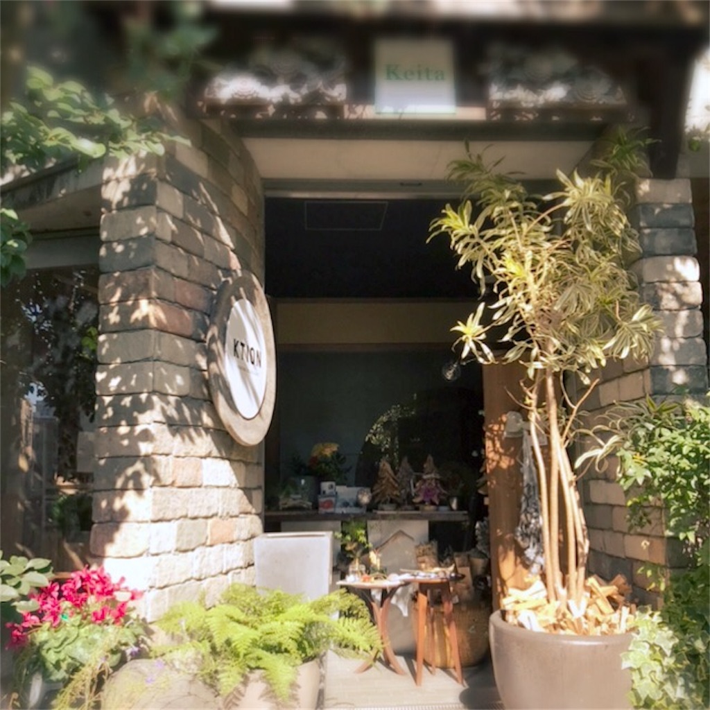 f:id:koshikakeol:20191116220953j:plain f:id:koshikakeol:20191116220953j:plain
