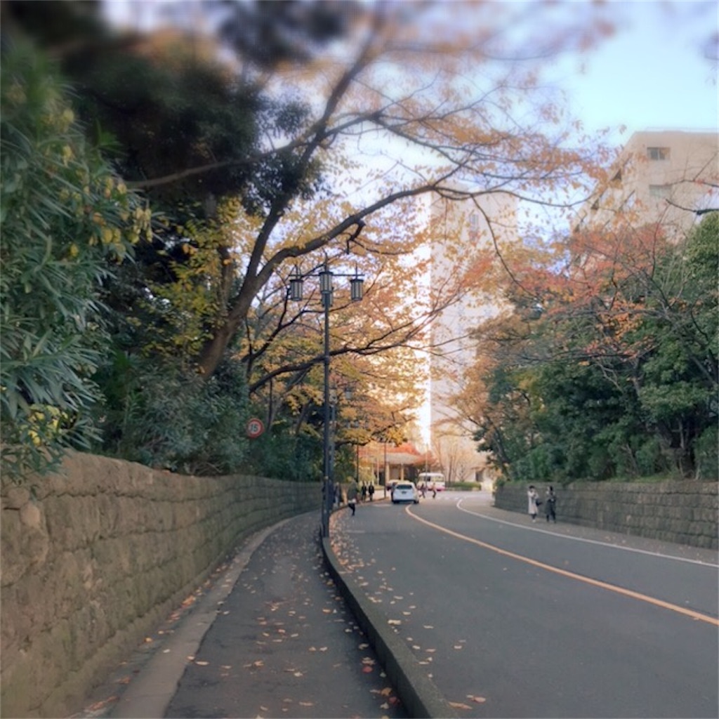 f:id:koshikakeol:20191208162457j:image f:id:koshikakeol:20191208162457j:image