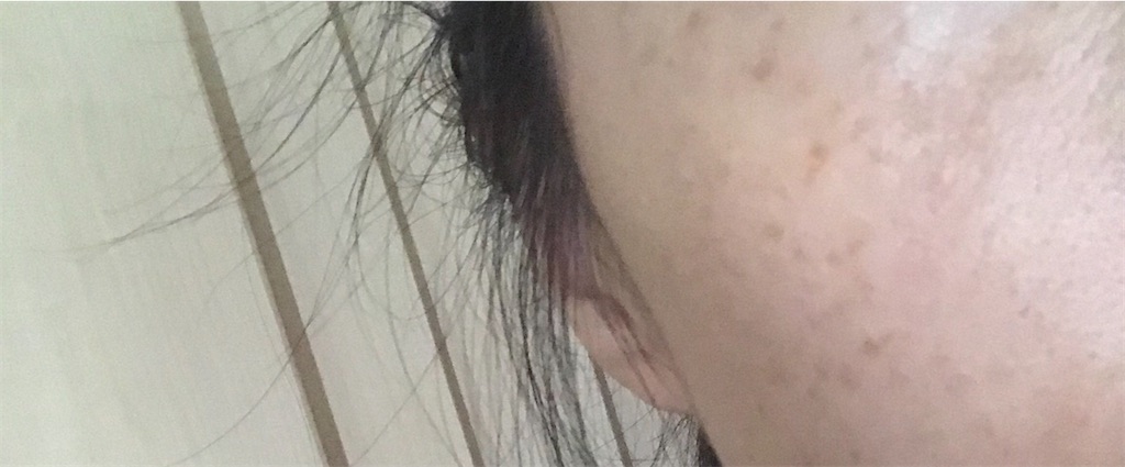 f:id:koshikakeol:20191221102329j:plain f:id:koshikakeol:20191221102329j:plain