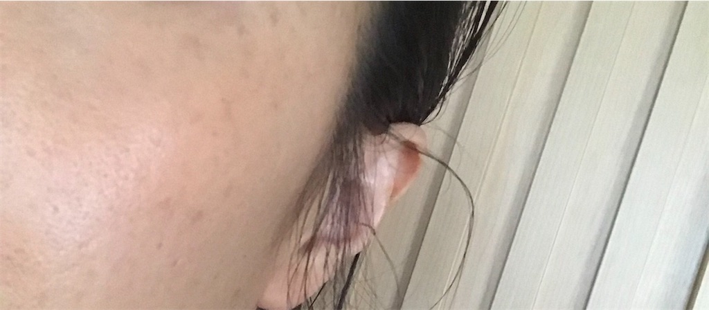 f:id:koshikakeol:20191221134743j:image f:id:koshikakeol:20191221134743j:image
