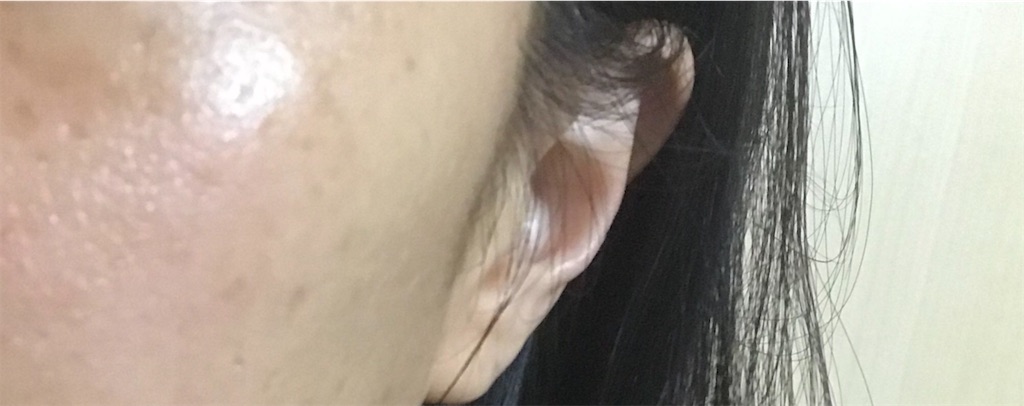 f:id:koshikakeol:20191225221540j:plain f:id:koshikakeol:20191225221540j:plain