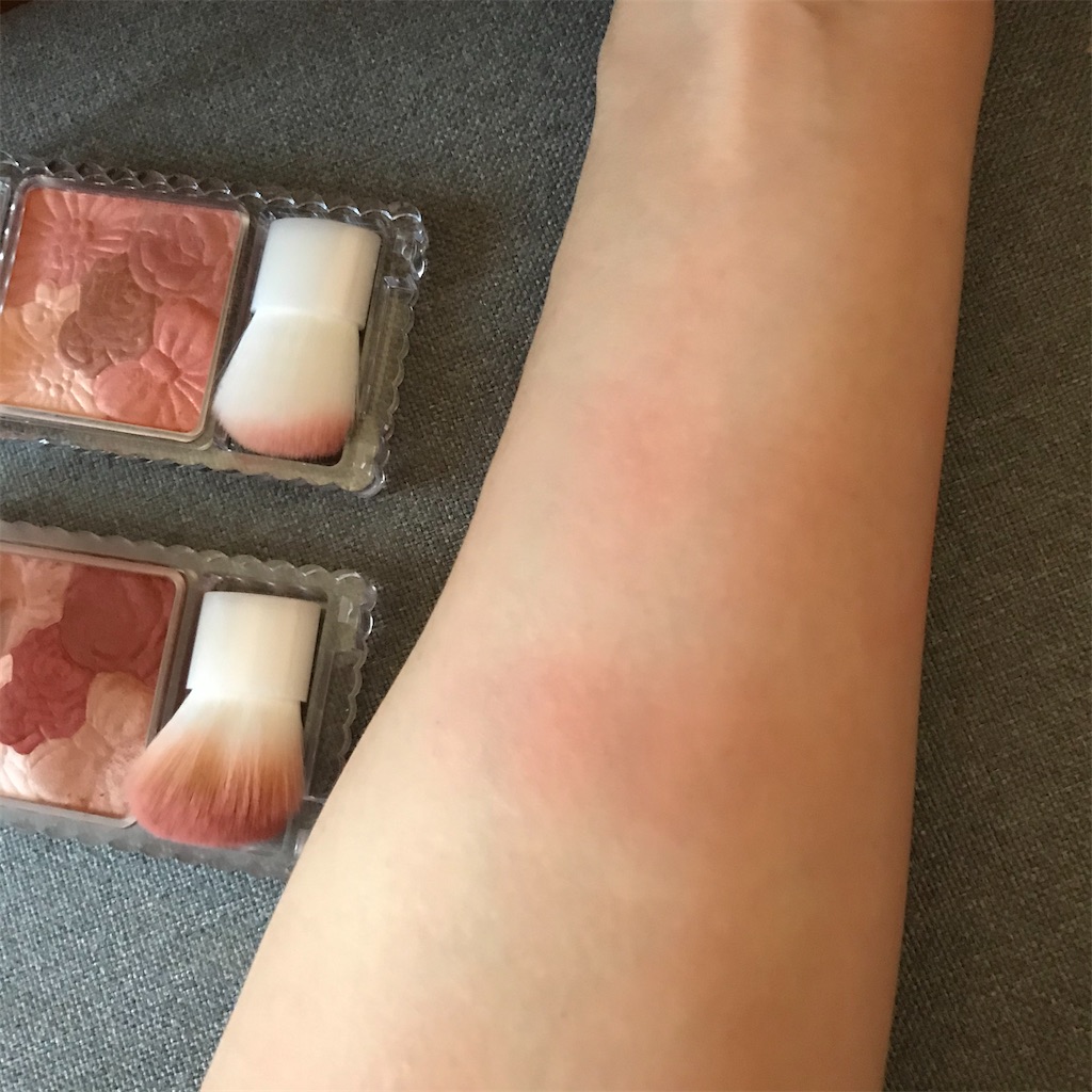 f:id:koshikakeol:20191231153801j:image f:id:koshikakeol:20191231153801j:image