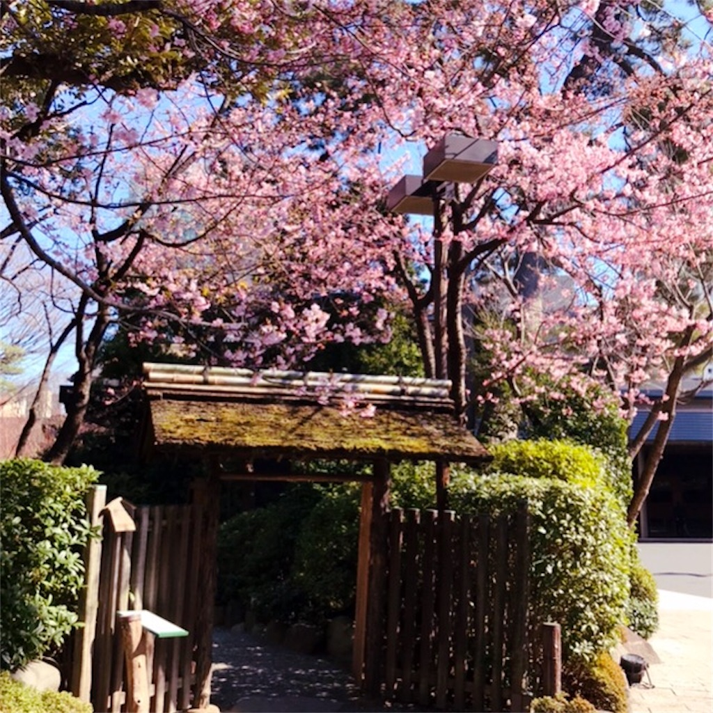 f:id:koshikakeol:20200211163416j:image