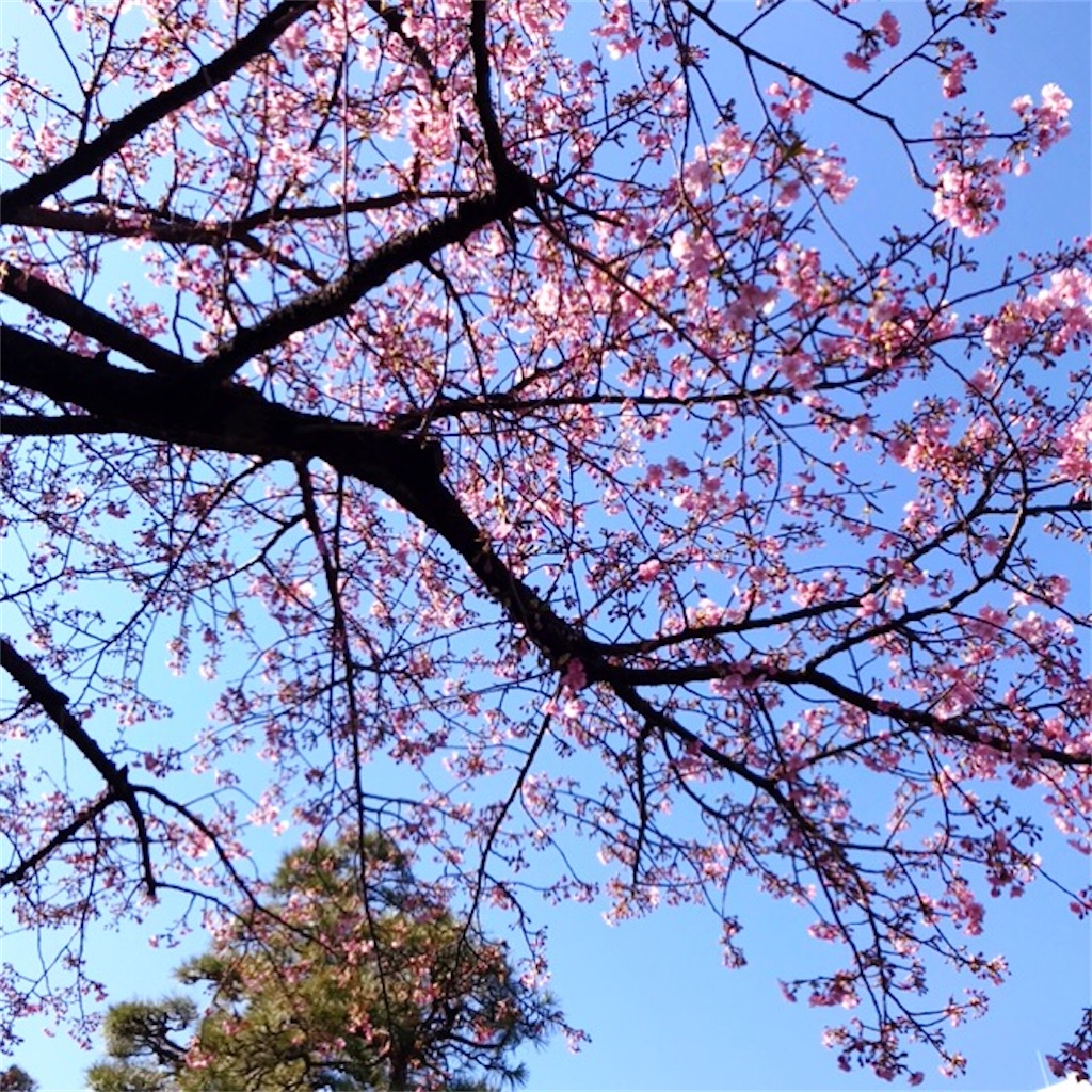 f:id:koshikakeol:20200211193525j:image