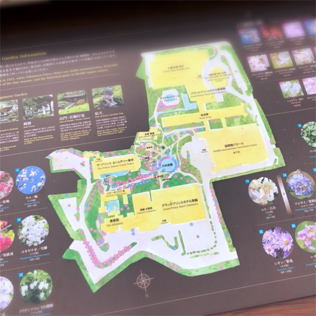 f:id:koshikakeol:20200215225003j:plain