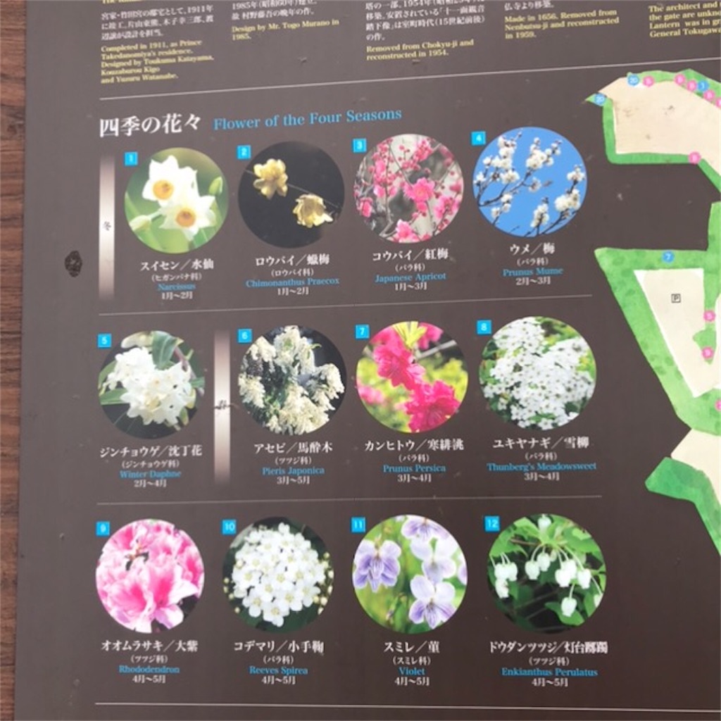 f:id:koshikakeol:20200215225007j:plain