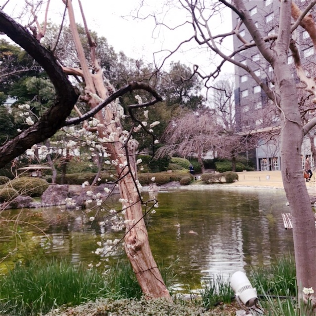 f:id:koshikakeol:20200218100755j:image