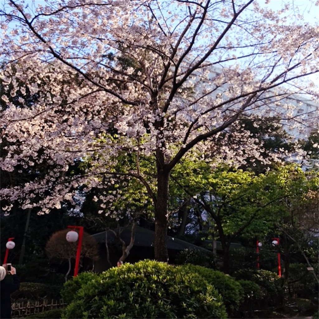 f:id:koshikakeol:20200326093526j:image f:id:koshikakeol:20200326093526j:image