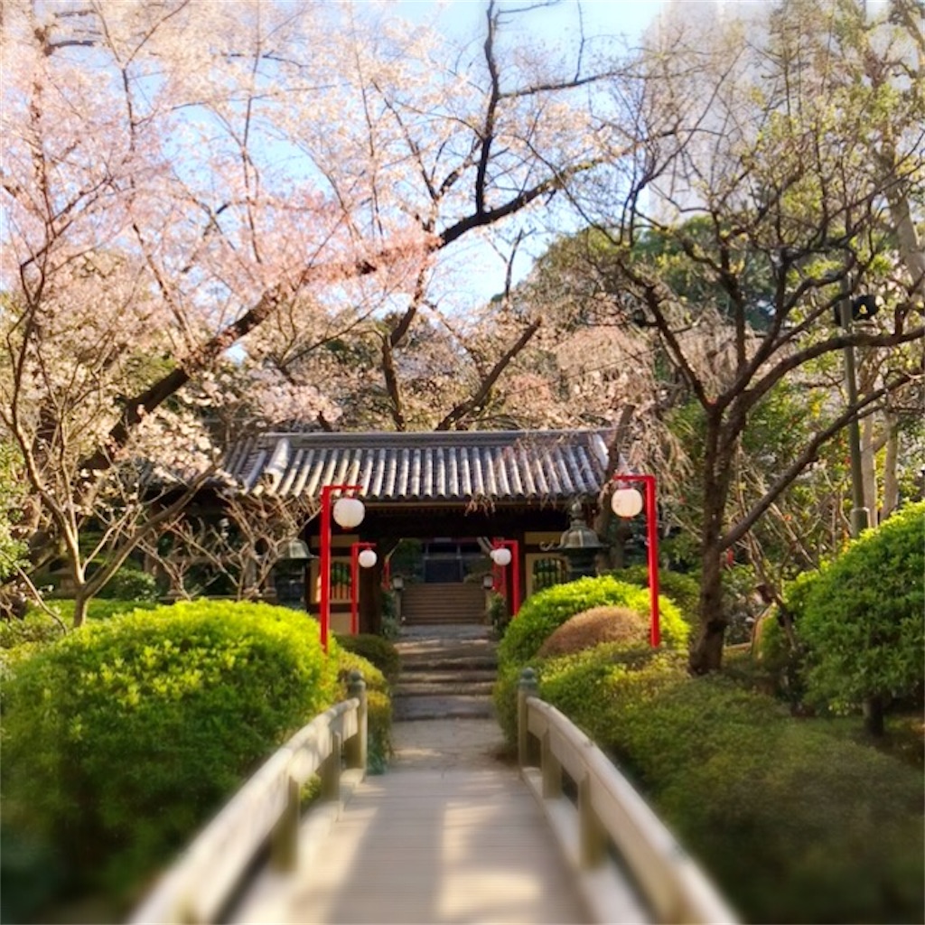 f:id:koshikakeol:20200326093528j:image f:id:koshikakeol:20200326093528j:image