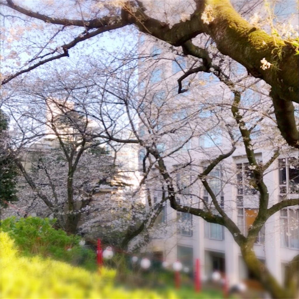 f:id:koshikakeol:20200326093532j:image f:id:koshikakeol:20200326093532j:image