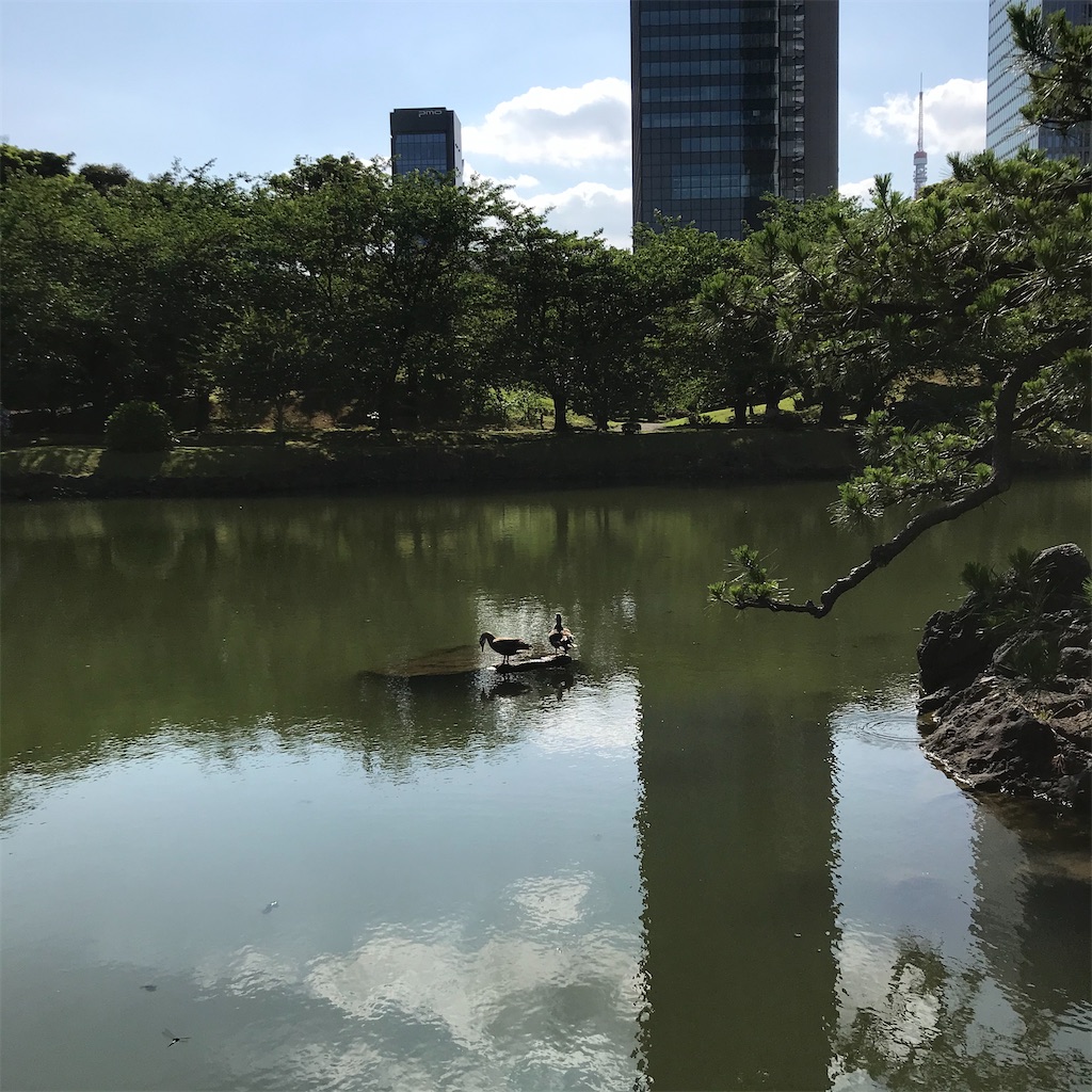 f:id:koshikakeol:20200610084306j:image f:id:koshikakeol:20200610084306j:image