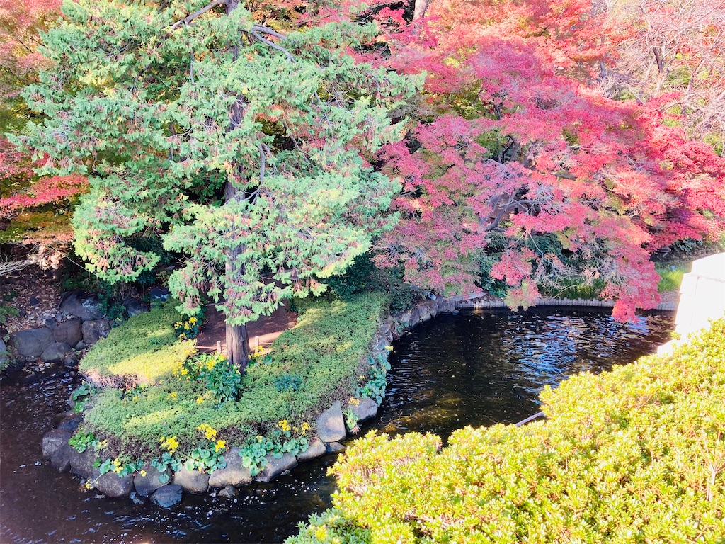 f:id:koshikakeol:20201207211637j:image f:id:koshikakeol:20201207211637j:image