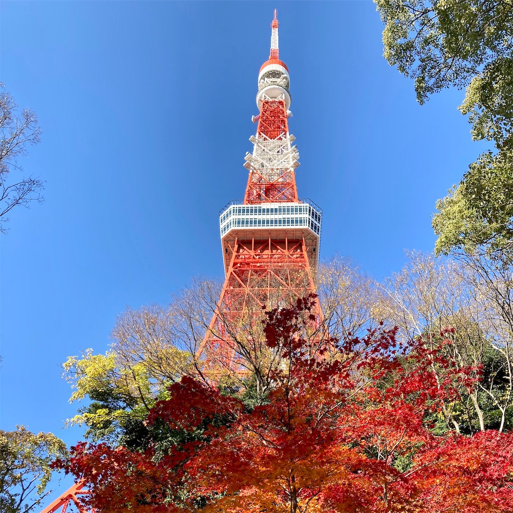 f:id:koshikakeol:20201214123625j:plain