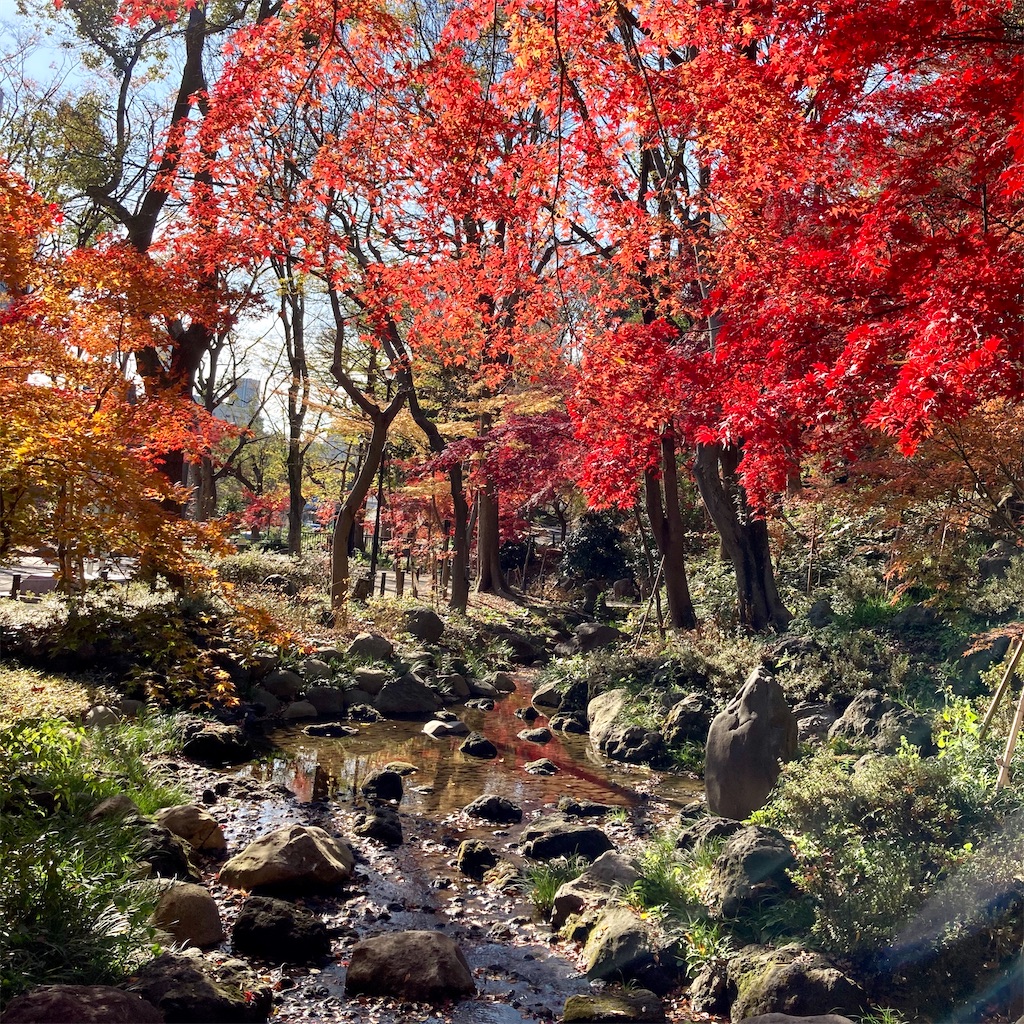 f:id:koshikakeol:20201214123643j:image f:id:koshikakeol:20201214123643j:image