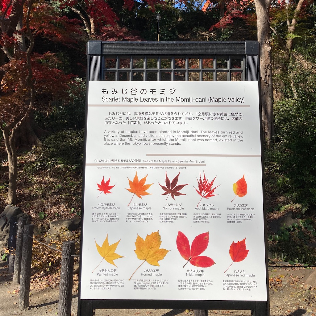 f:id:koshikakeol:20201214124310j:plain