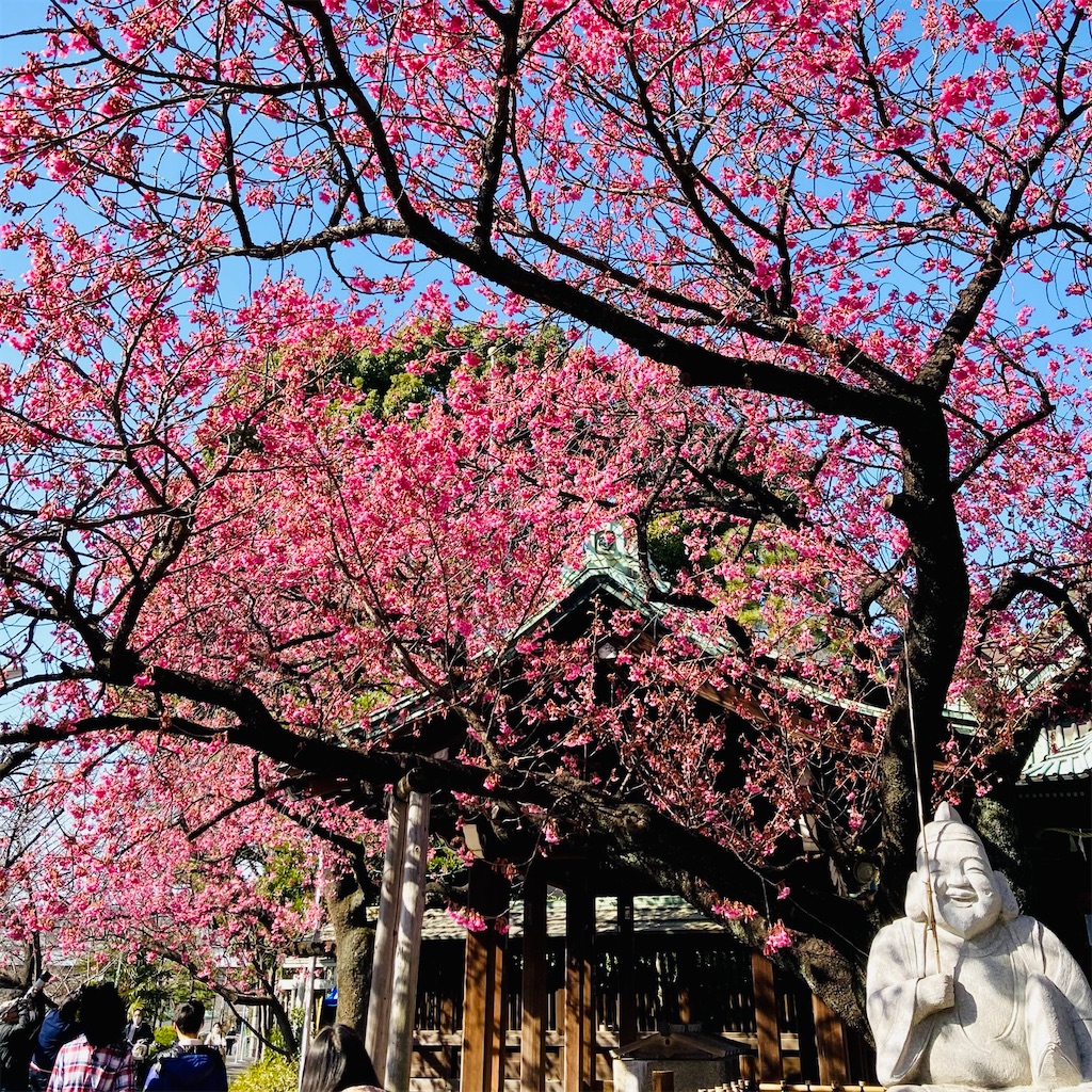 f:id:koshikakeol:20210207123711j:image f:id:koshikakeol:20210207123711j:image
