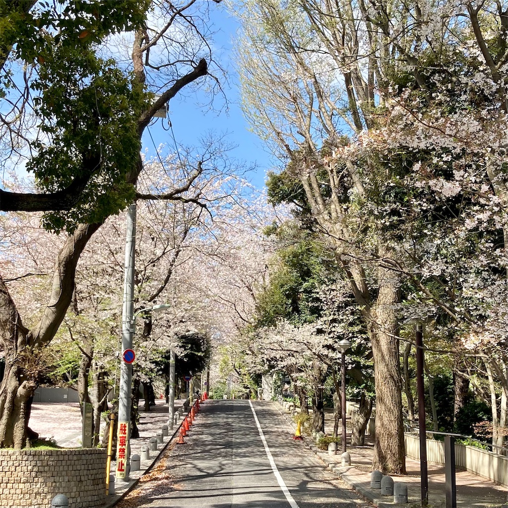 f:id:koshikakeol:20210329124834j:image f:id:koshikakeol:20210329124834j:image