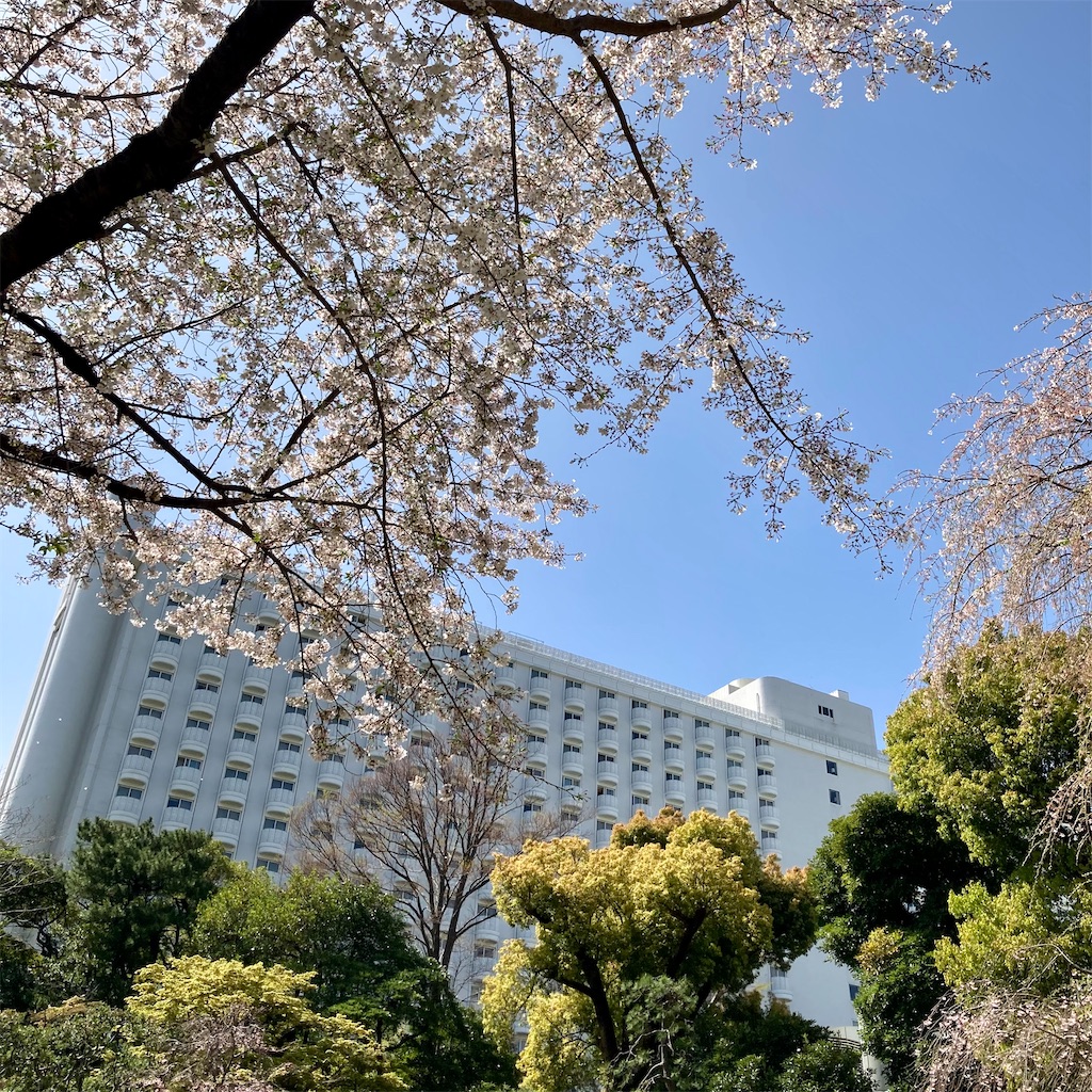 f:id:koshikakeol:20210329130313j:image f:id:koshikakeol:20210329130313j:image