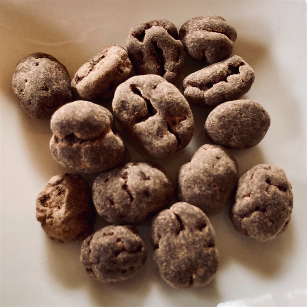 f:id:koshikakeol:20210404122350j:image