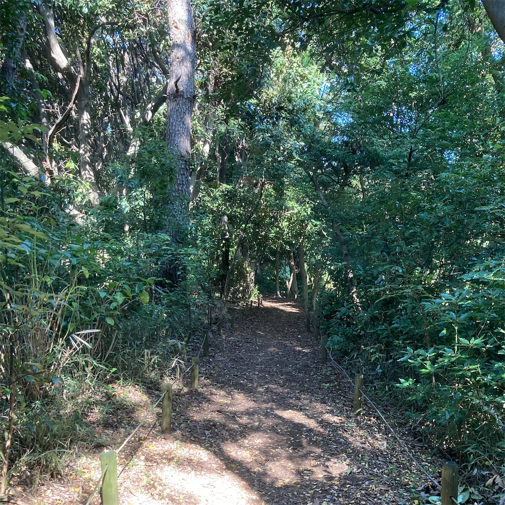 f:id:koshikakeol:20211106122049j:image f:id:koshikakeol:20211106122049j:image