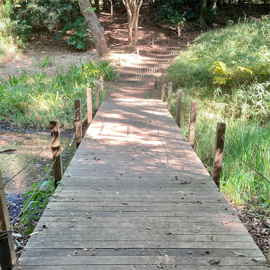 f:id:koshikakeol:20211106122052j:image f:id:koshikakeol:20211106122052j:image