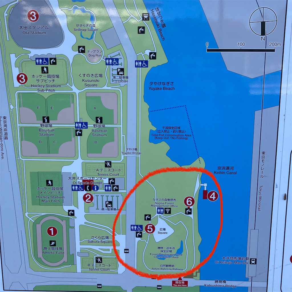 f:id:koshikakeol:20211106122058j:image f:id:koshikakeol:20211106122058j:image